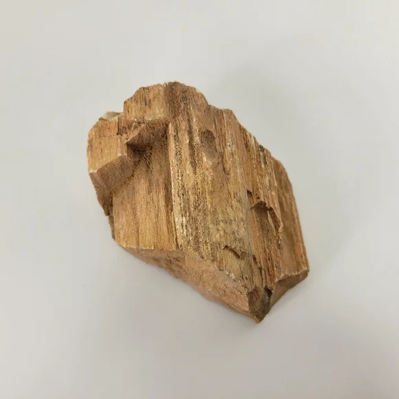 Petrified Wood Small 3 Inch Raw Natural Fossil Rock Specimen Arizona Mineral - Picture 3 of 12